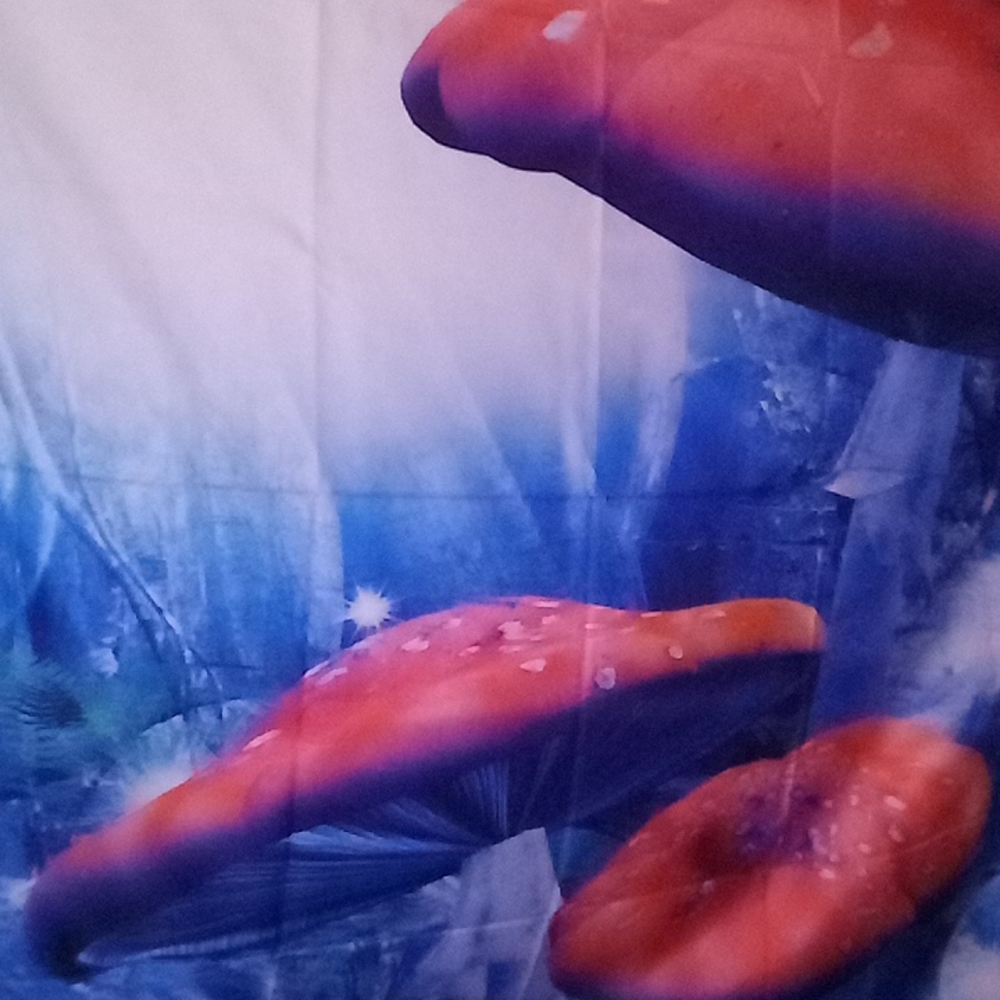 Mushroom tapestry 5x6 foot